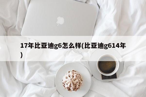 17年比亚迪g6怎么样(比亚迪g614年)