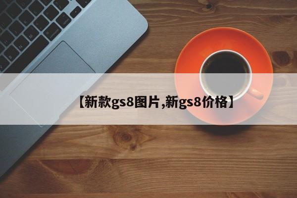 【新款gs8图片,新gs8价格】